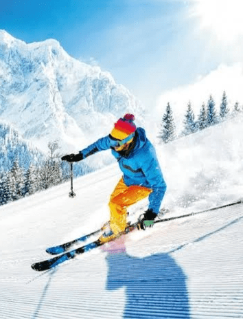 星野滑雪學校 星野滑雪學校