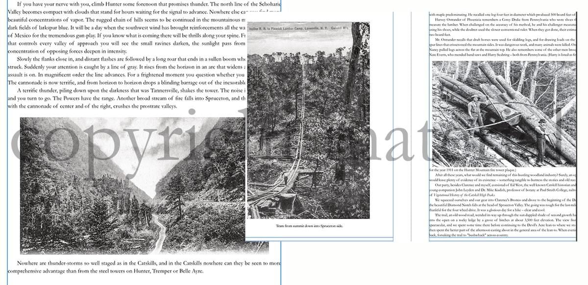 Section image