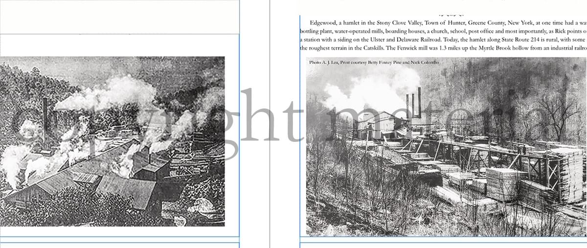 Section image