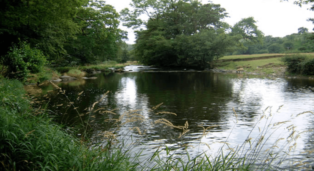 Section image