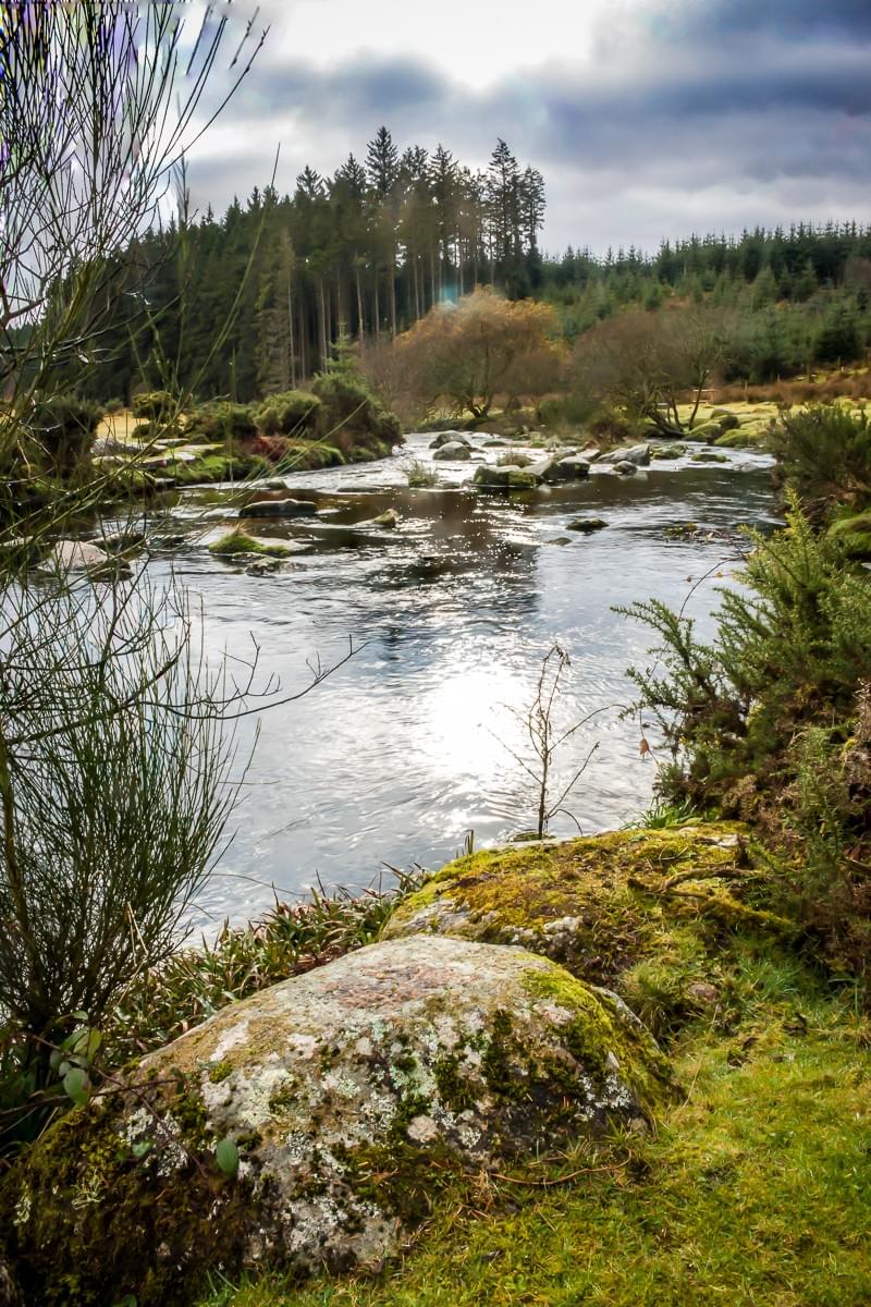 Section image