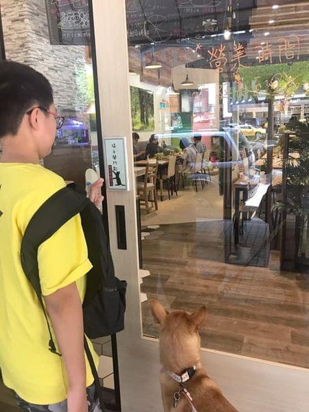 【台中寵物友善餐廳 】森林小徑親子寵物友善餐廳~大墩店 【台中寵物友善餐廳 】森林小徑親子寵物友善餐廳~大墩店