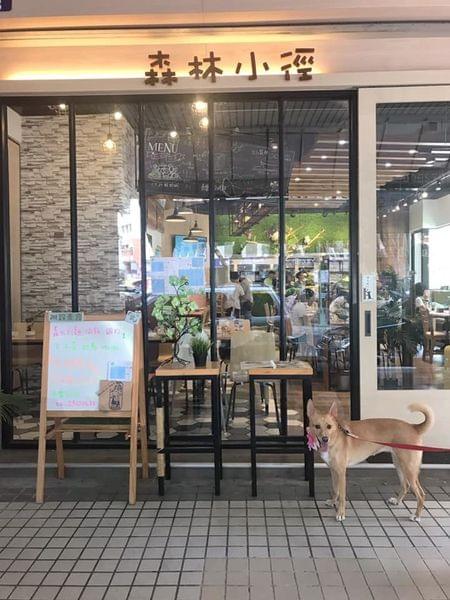 【台中寵物友善餐廳 】森林小徑親子寵物友善餐廳~大墩店 【台中寵物友善餐廳 】森林小徑親子寵物友善餐廳~大墩店