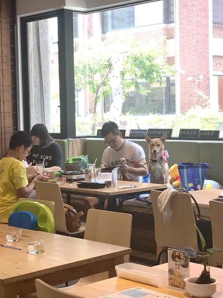 【台中寵物友善餐廳 】森林小徑親子寵物友善餐廳~大墩店 【台中寵物友善餐廳 】森林小徑親子寵物友善餐廳~大墩店