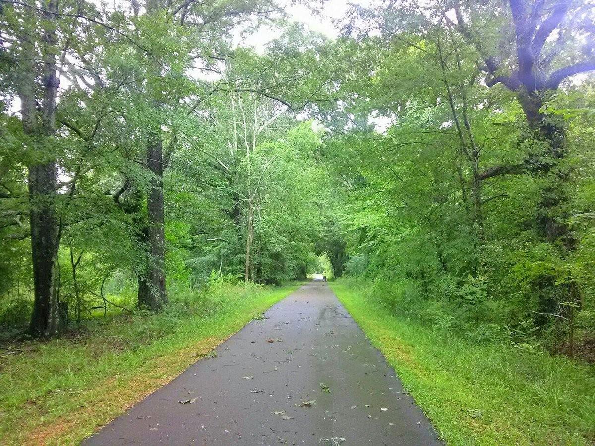 Ridgeland Bike Trail - Madison Mississippi - Brandon Pressure Washers Ridgeland Bike Trail - Madison Mississippi - Brandon Pressure Washers