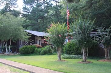 Mississippi Petrified Forest - Madison Mississippi - Brandon Pressure Washers Mississippi Petrified Forest - Madison Mississippi - Brandon Pressure Washers