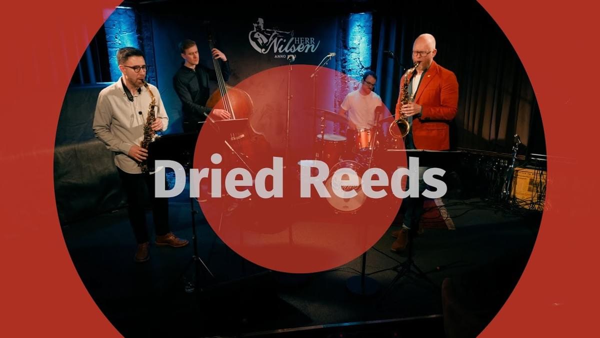 Dried Reeds Dried Reeds