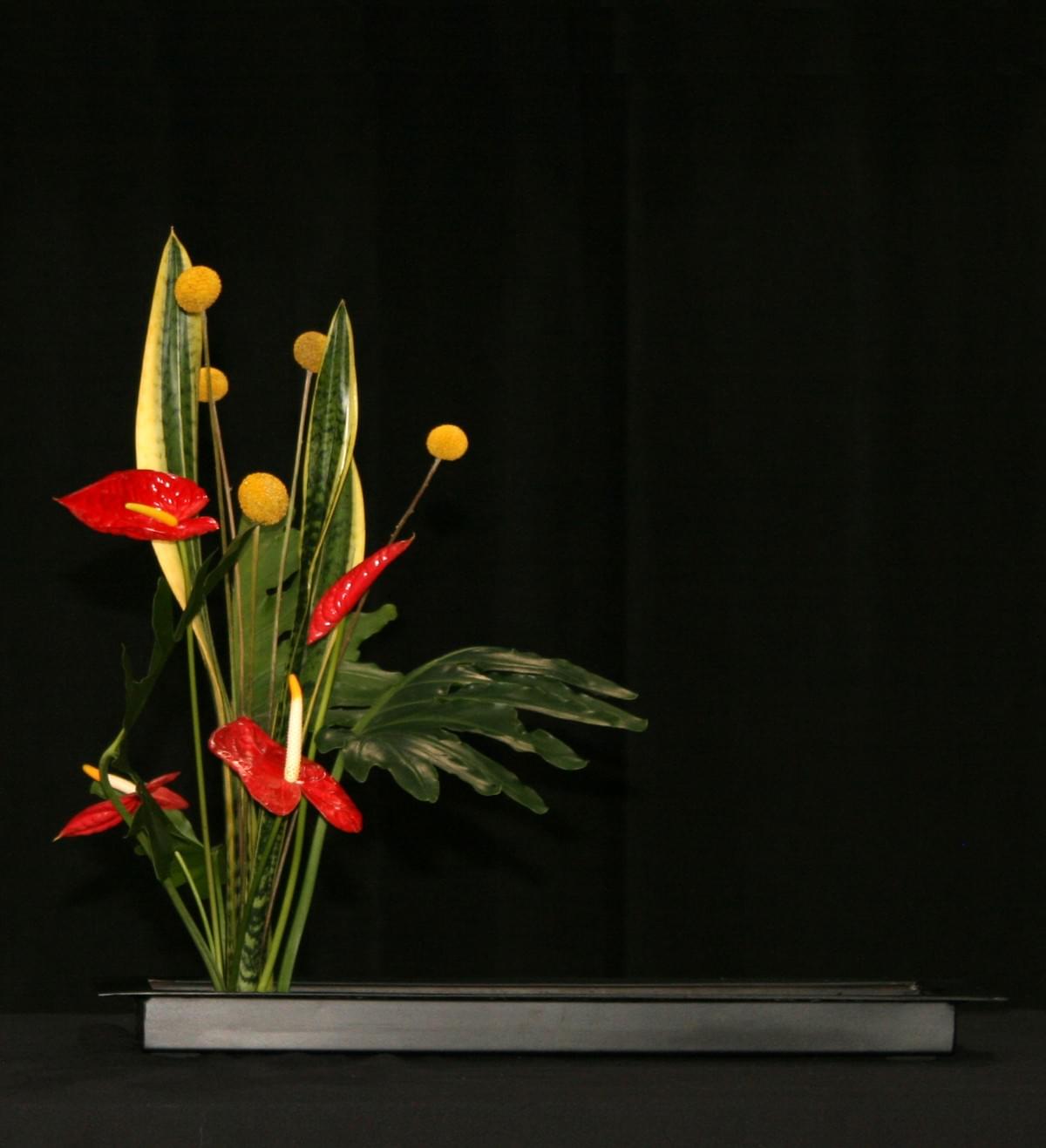 Section image