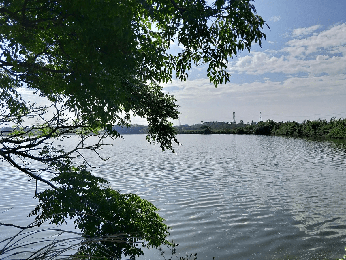 Section image