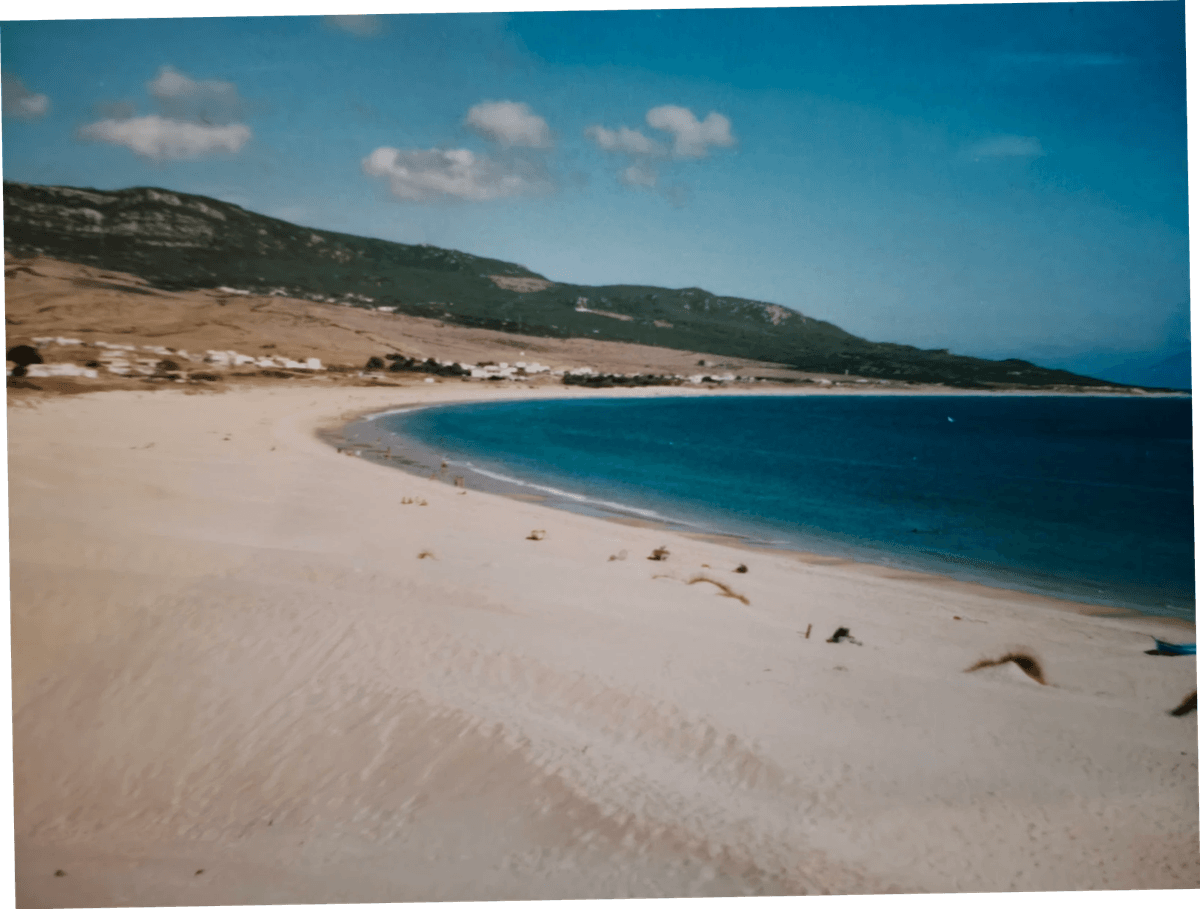 Section image