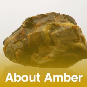 About Amber About Amber