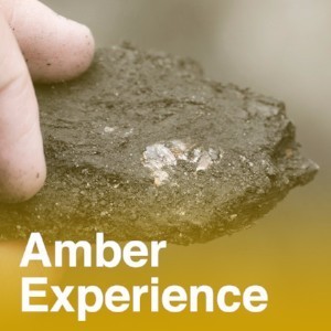 Amber Experience Amber Experience