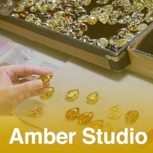 Amber Studio Amber Studio