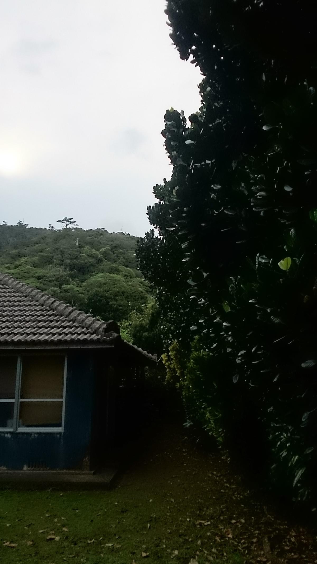 南面(Before) 南面(Before)