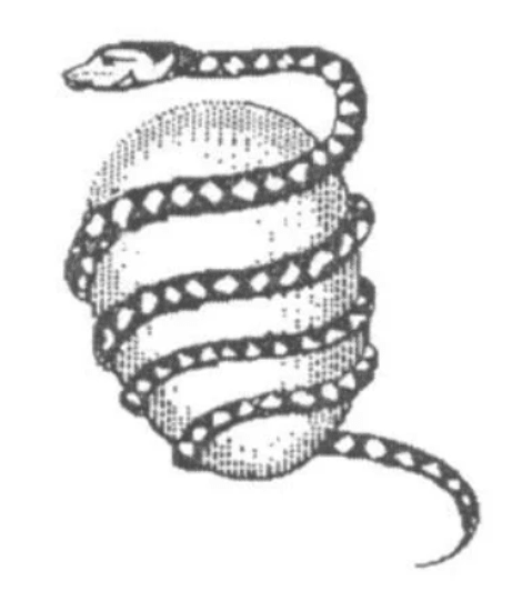 Orphic egg of Akasha imagery Orphic egg of Akasha imagery