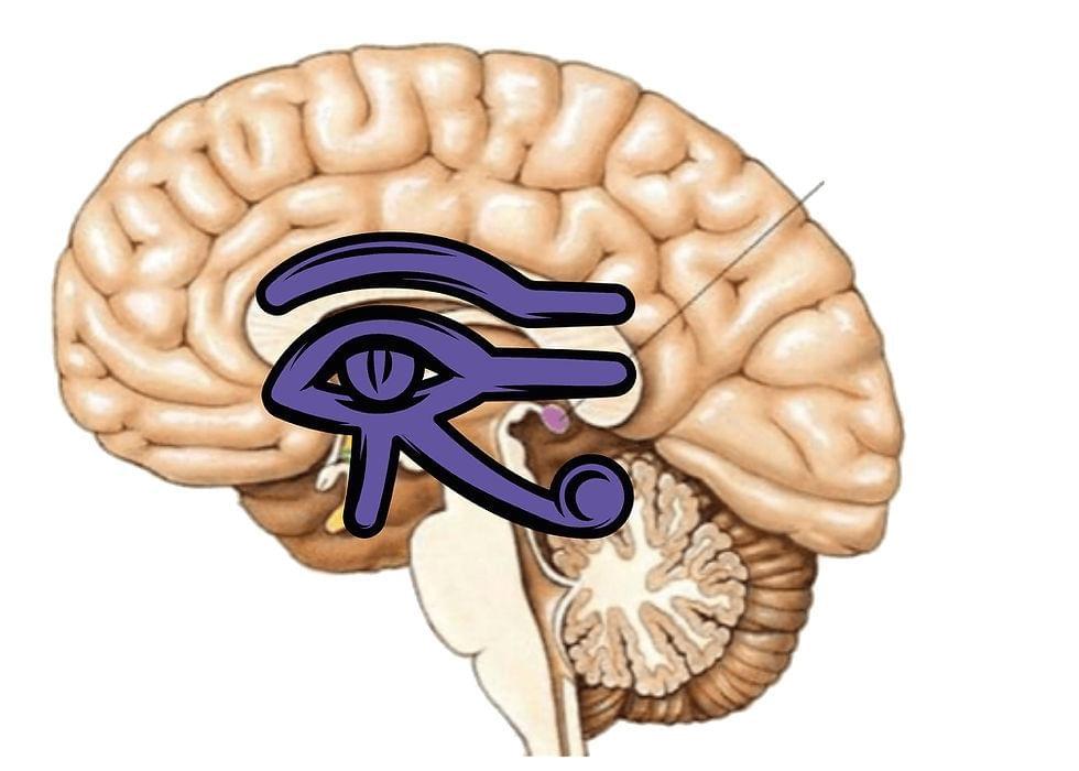 eye of Horus in human brain imagery eye of Horus in human brain imagery
