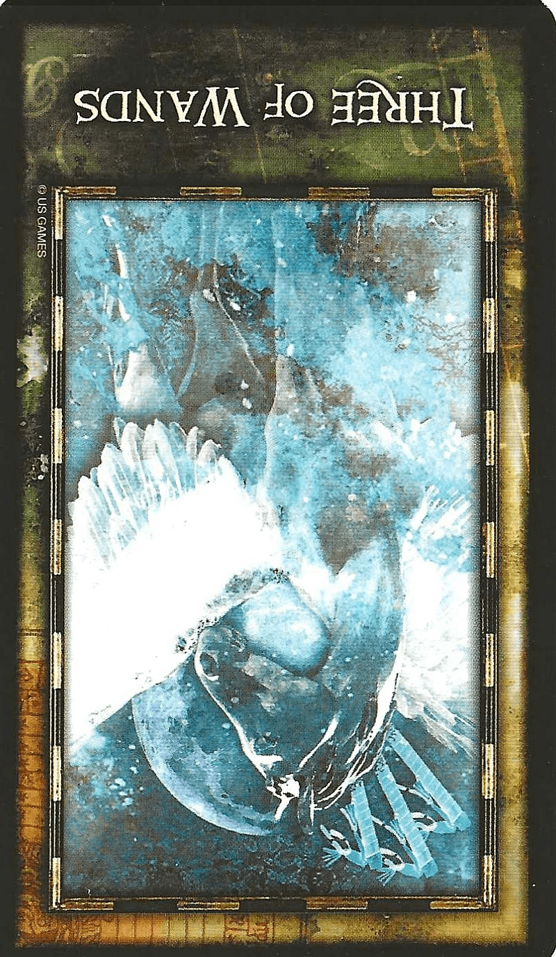 Section image
