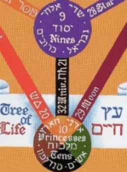 Section image
