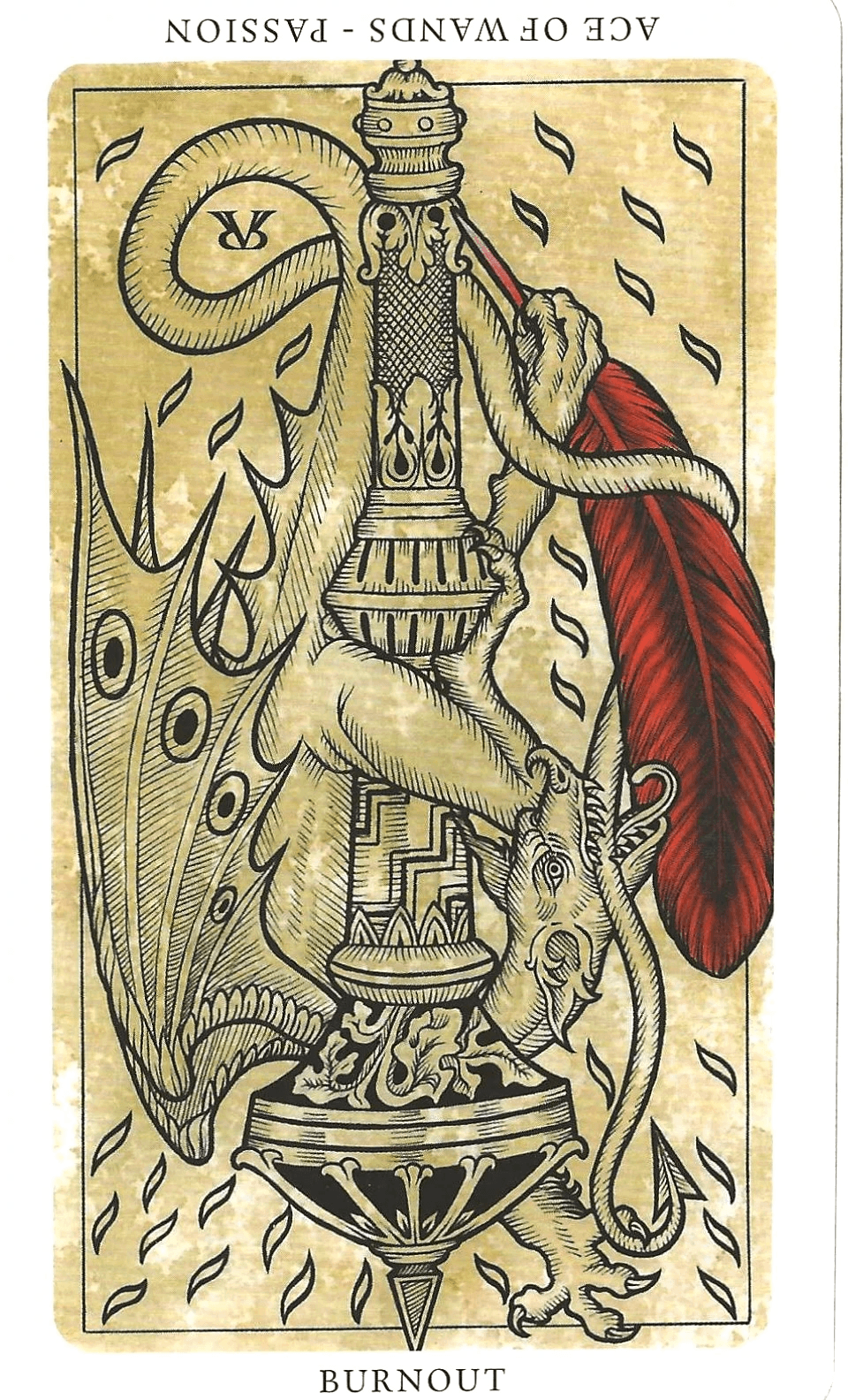 Section image