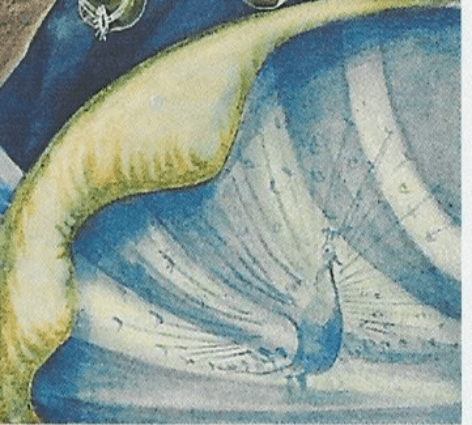 Section image