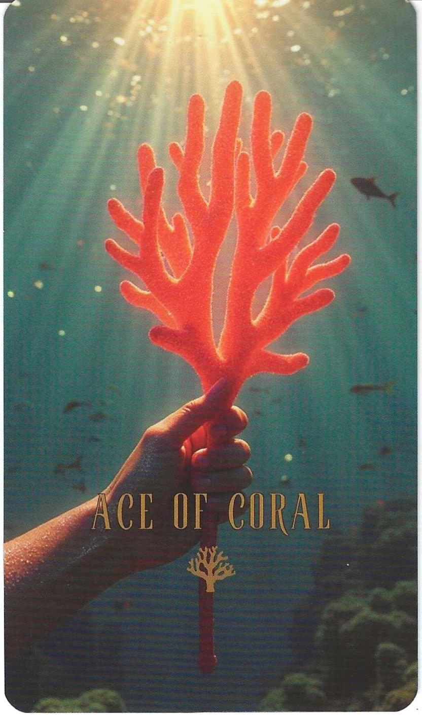 Ace of Coral-The Ocean Tarot Ace of Coral-The Ocean Tarot