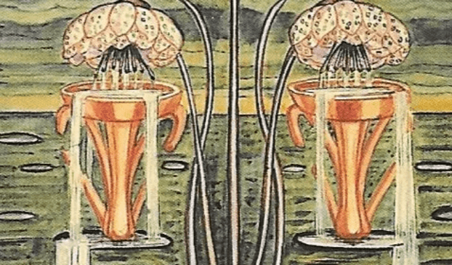Section image