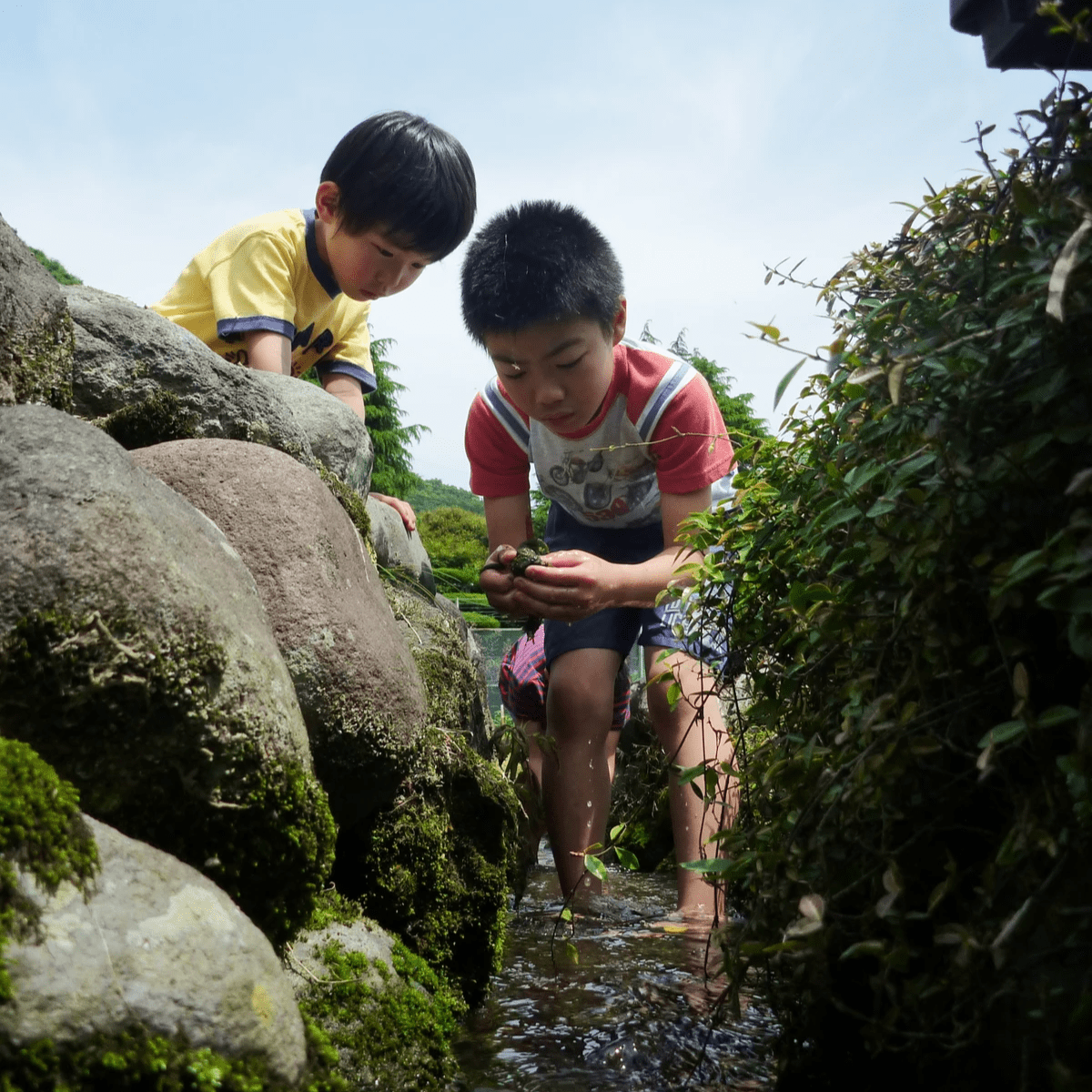 玩遊台中田中山野間 玩遊台中田中山野間