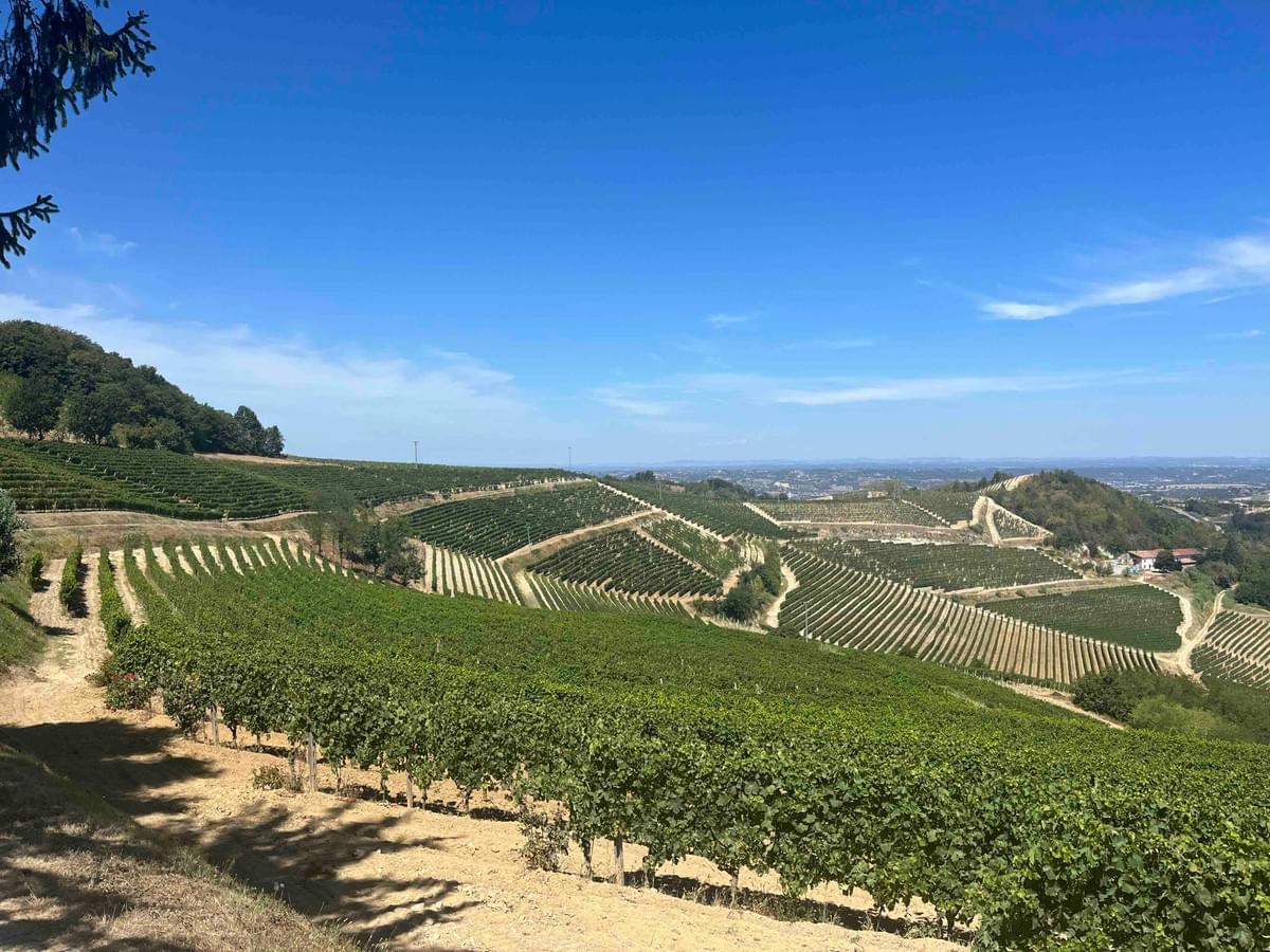 Uitzicht bij Poggio Uitzicht bij Poggio