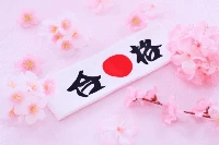 2022合格体験記 2022合格体験記