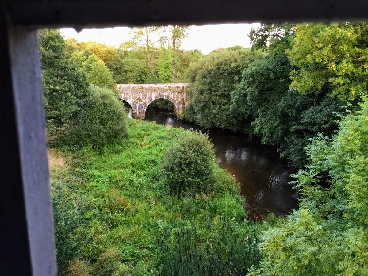 Section image