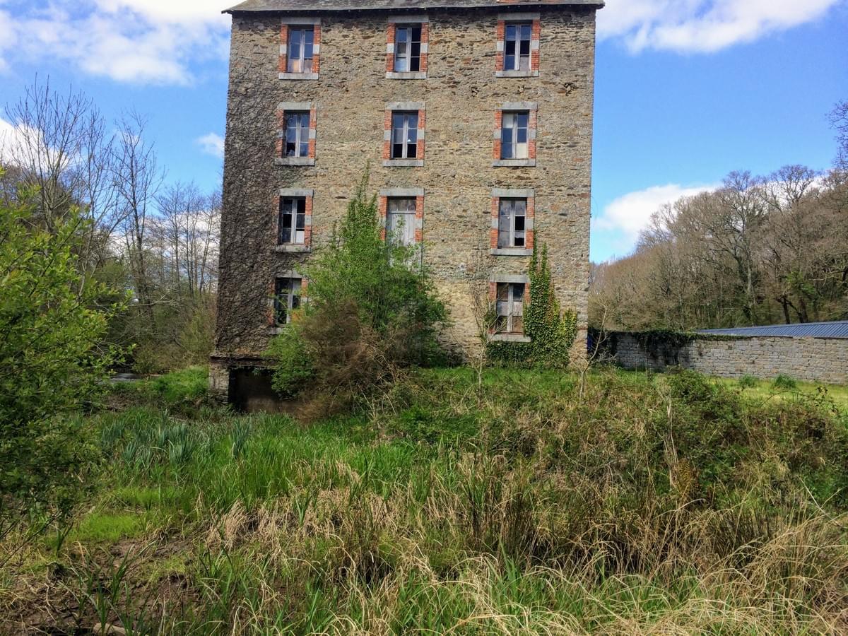Section image