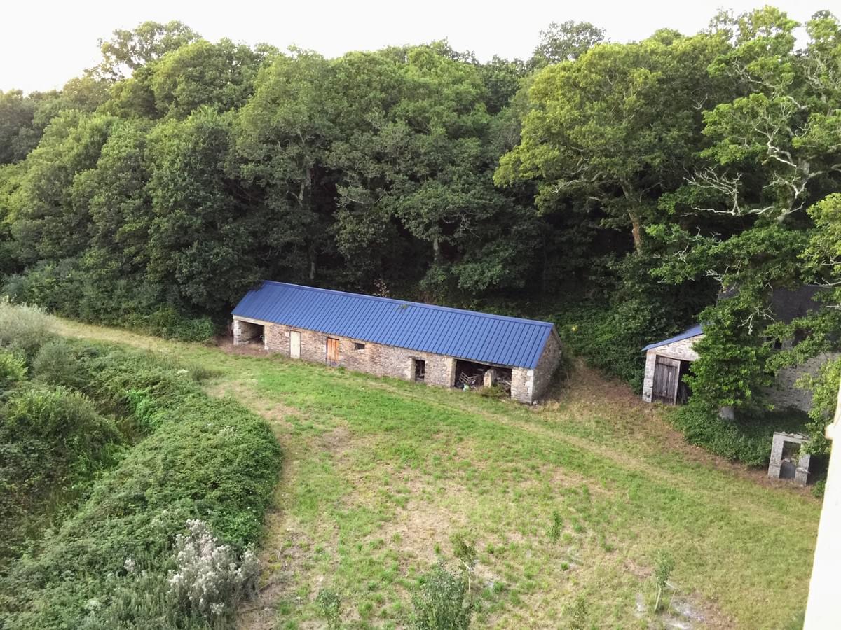 Section image