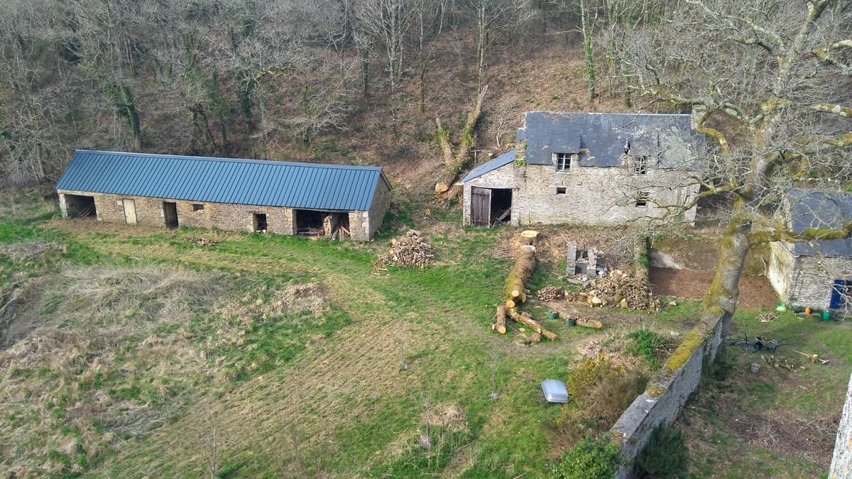Section image
