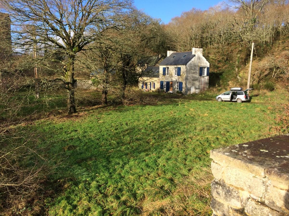 Section image
