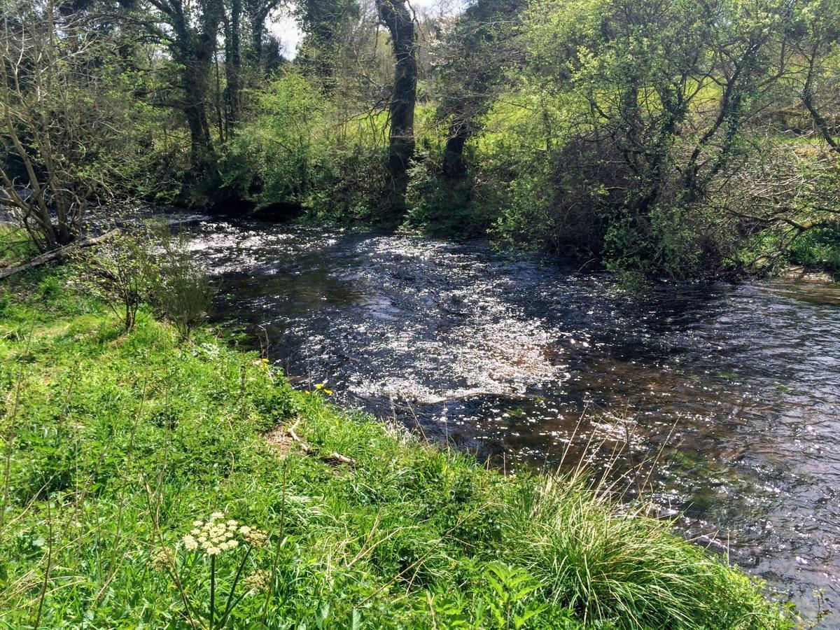 Section image