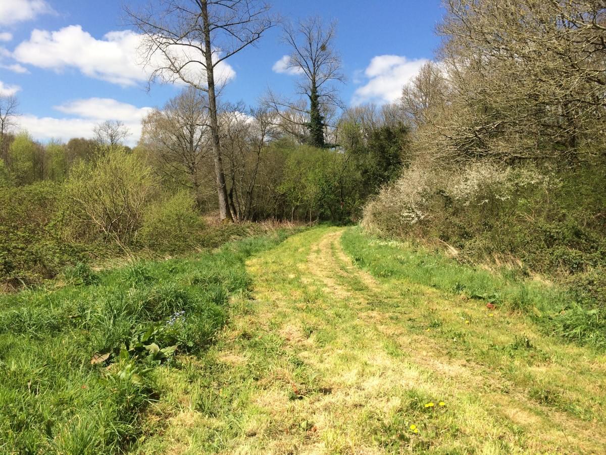 Section image