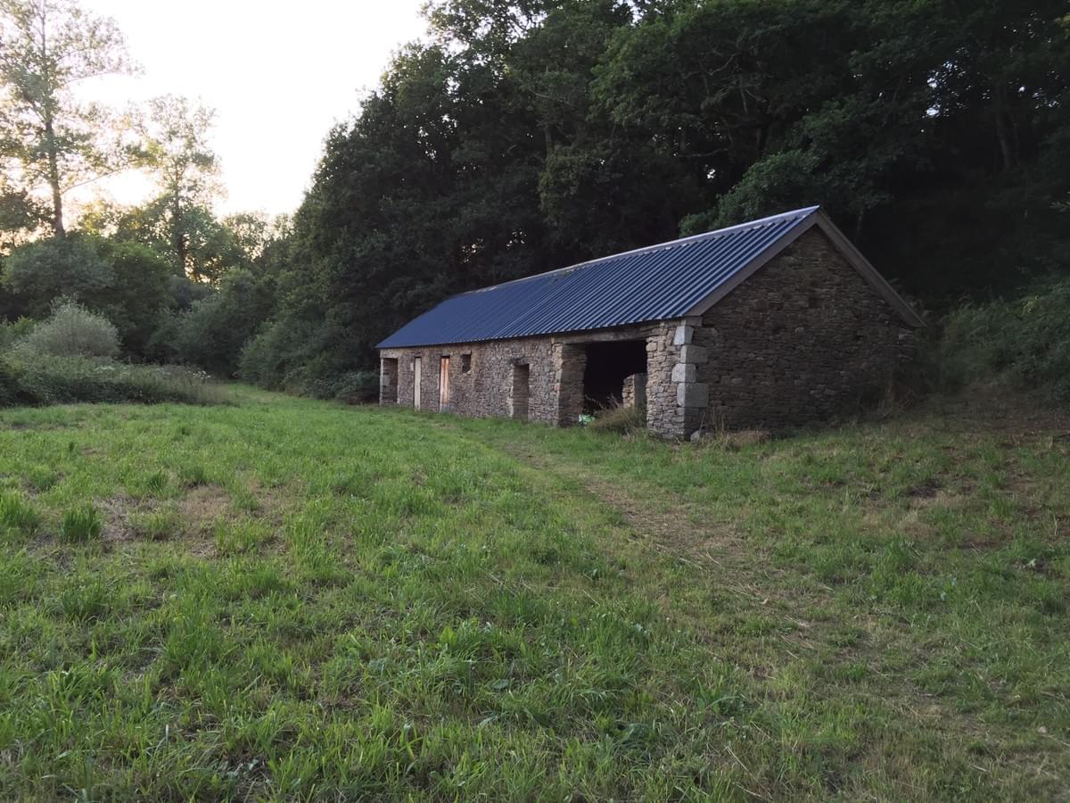 Section image