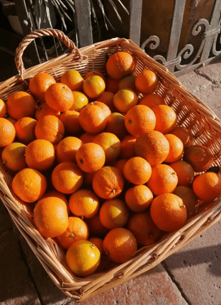 cosa bere dopo cena arancello cosa bere dopo cena arancello
