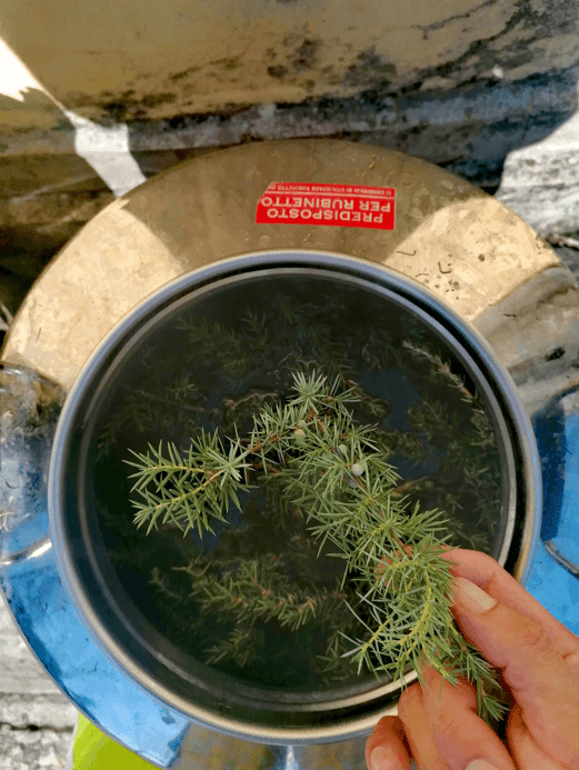 infusione liquori artigianali infusione liquori artigianali