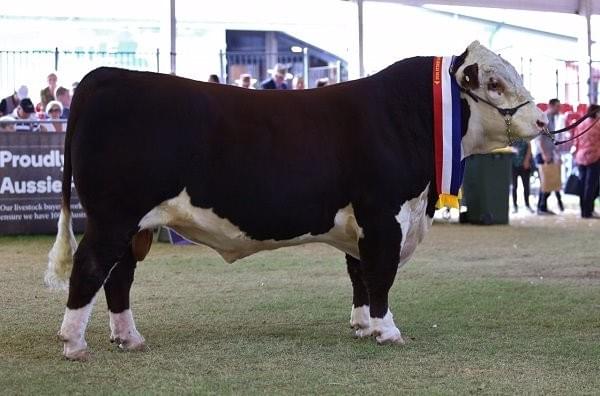 Aldersley ! Edgar Aldersley ! Edgar