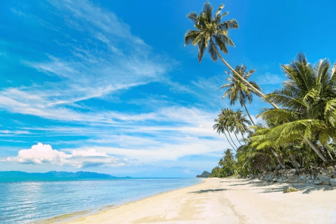 沙美島 Koh Samet 沙美島 Koh Samet