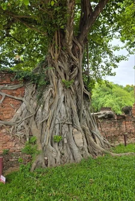 Wat Mahathat Wat Mahathat