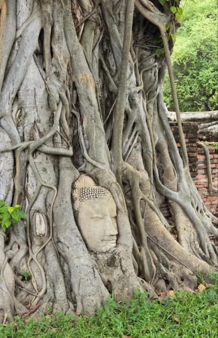 Wat Mahathat Wat Mahathat