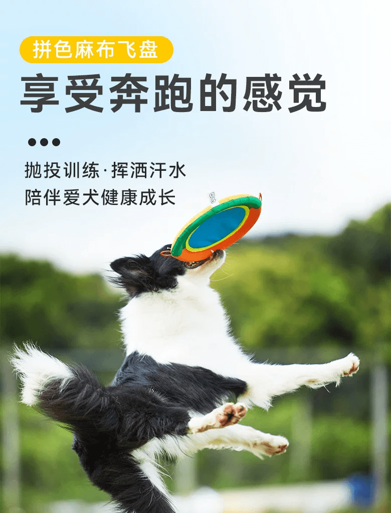 寵物戶外布飛盤