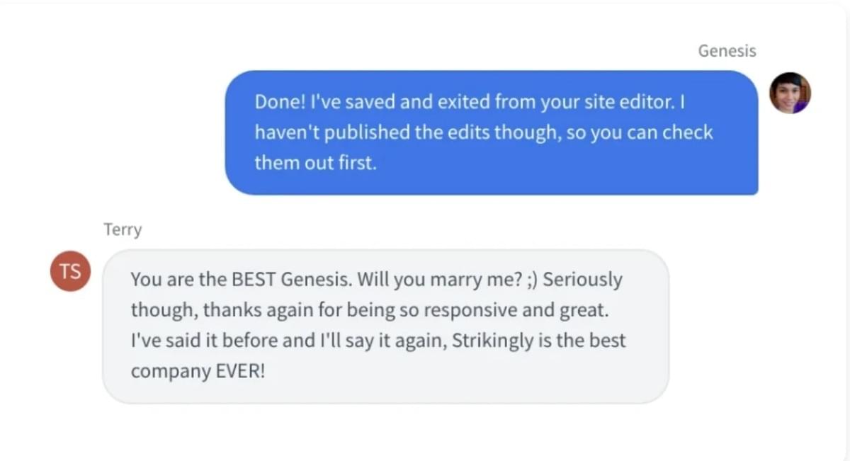 Chat de Suporte ao Cliente Strikingly Chat de Suporte ao Cliente Strikingly