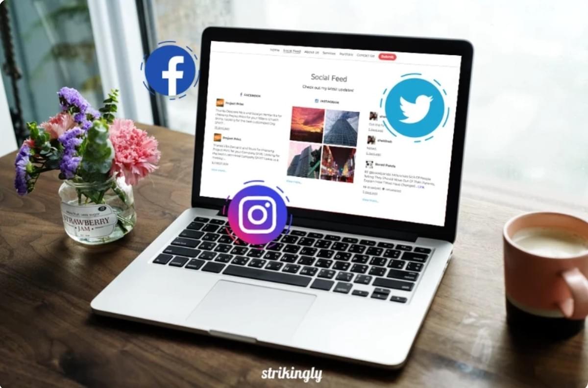 Strikingly Social Feeds Sectie Strikingly Social Feeds Sectie