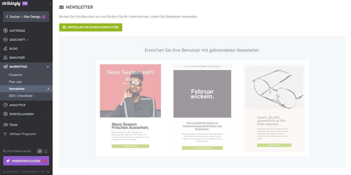Strikingly Newsletter-Funktion Strikingly Newsletter-Funktion
