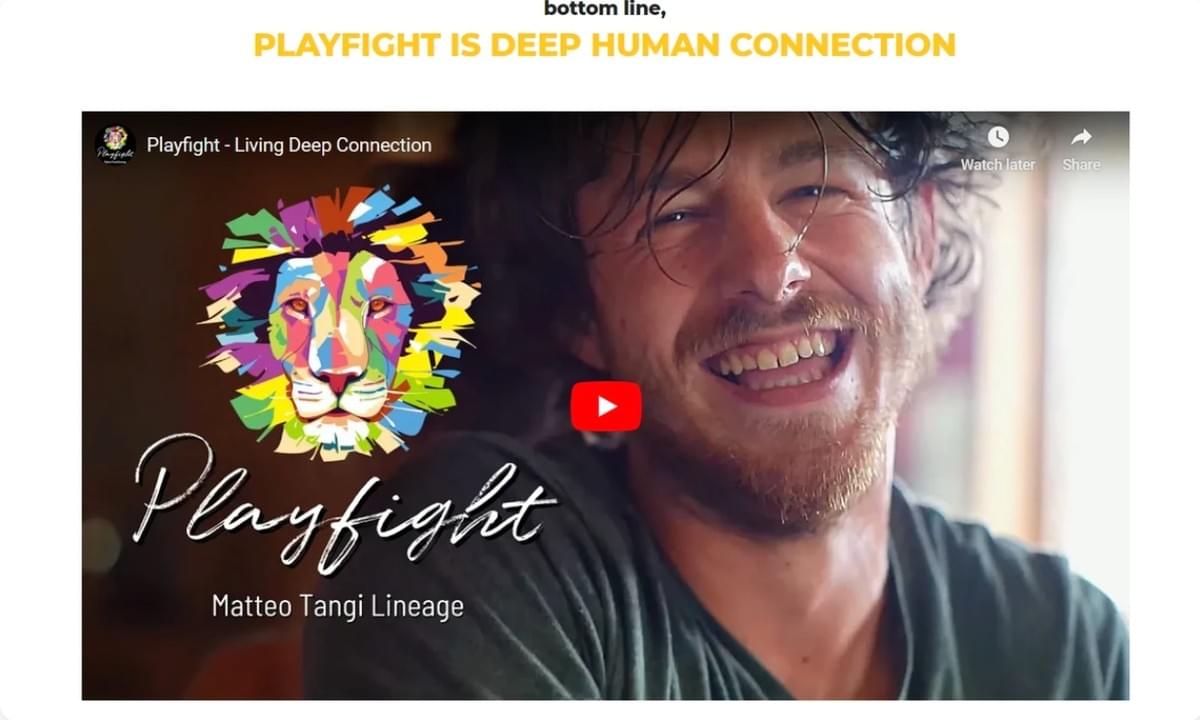 hoe is marketingvideo als Playfight hoe is marketingvideo als Playfight