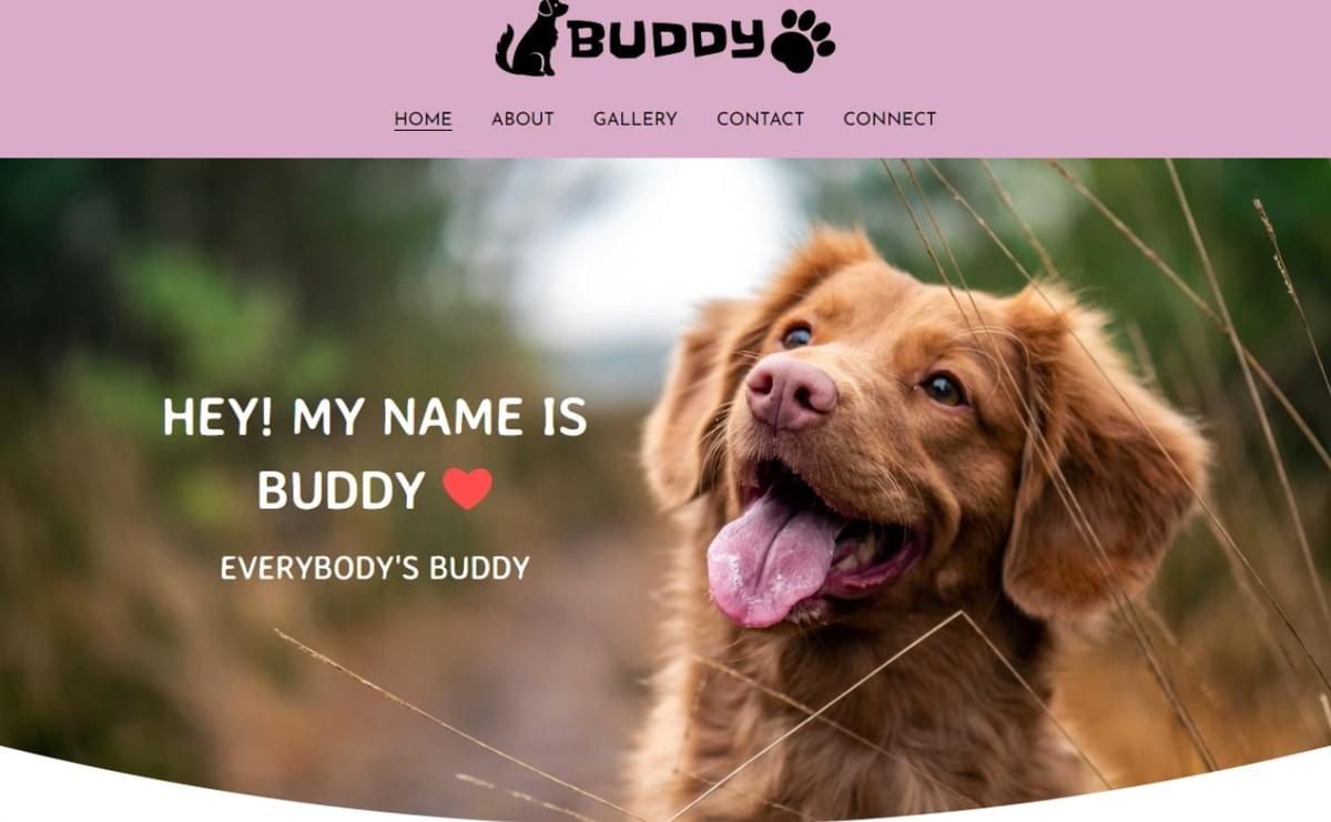 Template Buddy da Strikingly Template Buddy da Strikingly