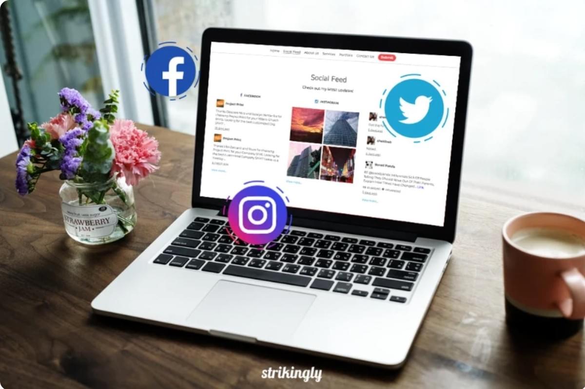 Strikingly Social Feeds Sectie Strikingly Social Feeds Sectie